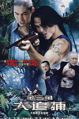 大追捕2008(全集)