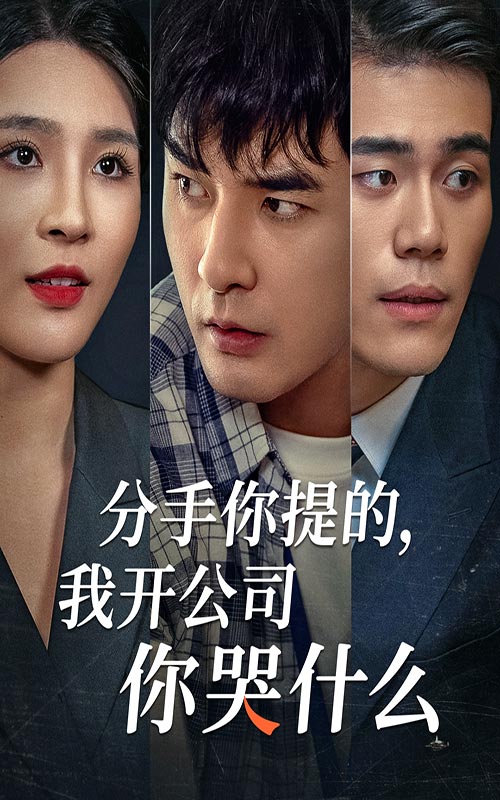 分手你提的，我開公司你哭什么(全集)