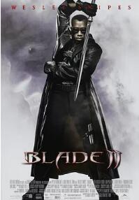 刀鋒戰(zhàn)士2