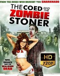 校內(nèi)僵尸聯(lián)誼會