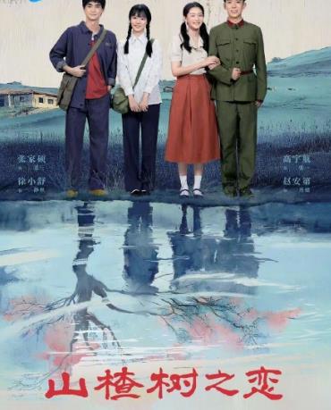 山楂樹之戀2025
