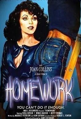 家庭作業(yè)1982