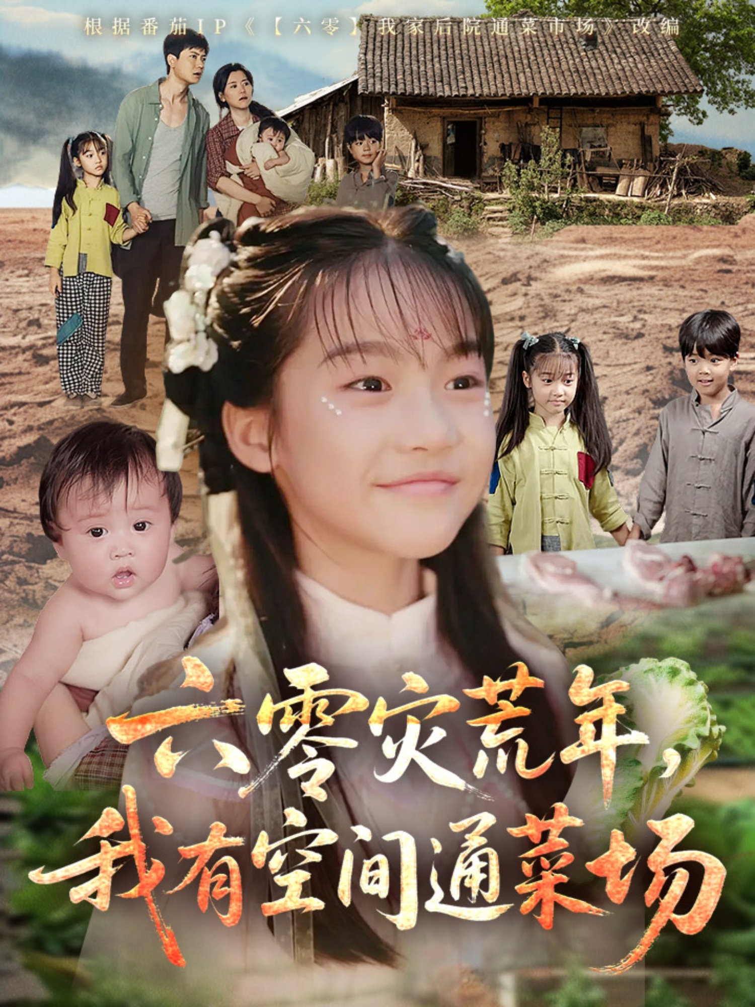 六零災(zāi)荒年，我有空間通菜場(chǎng)(全集)