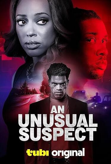 一個(gè)不尋常的嫌疑人