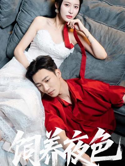 飼養(yǎng)夜色(全集)