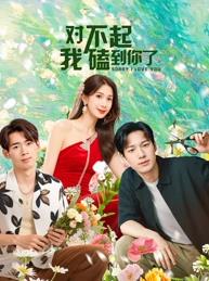 對不起，我磕到你了(全集)