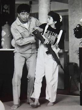 妙探1加1國語(全集)