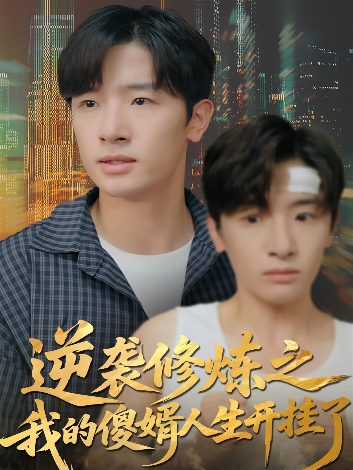 逆襲修煉之我的傻婿人生開(kāi)掛了(全集)