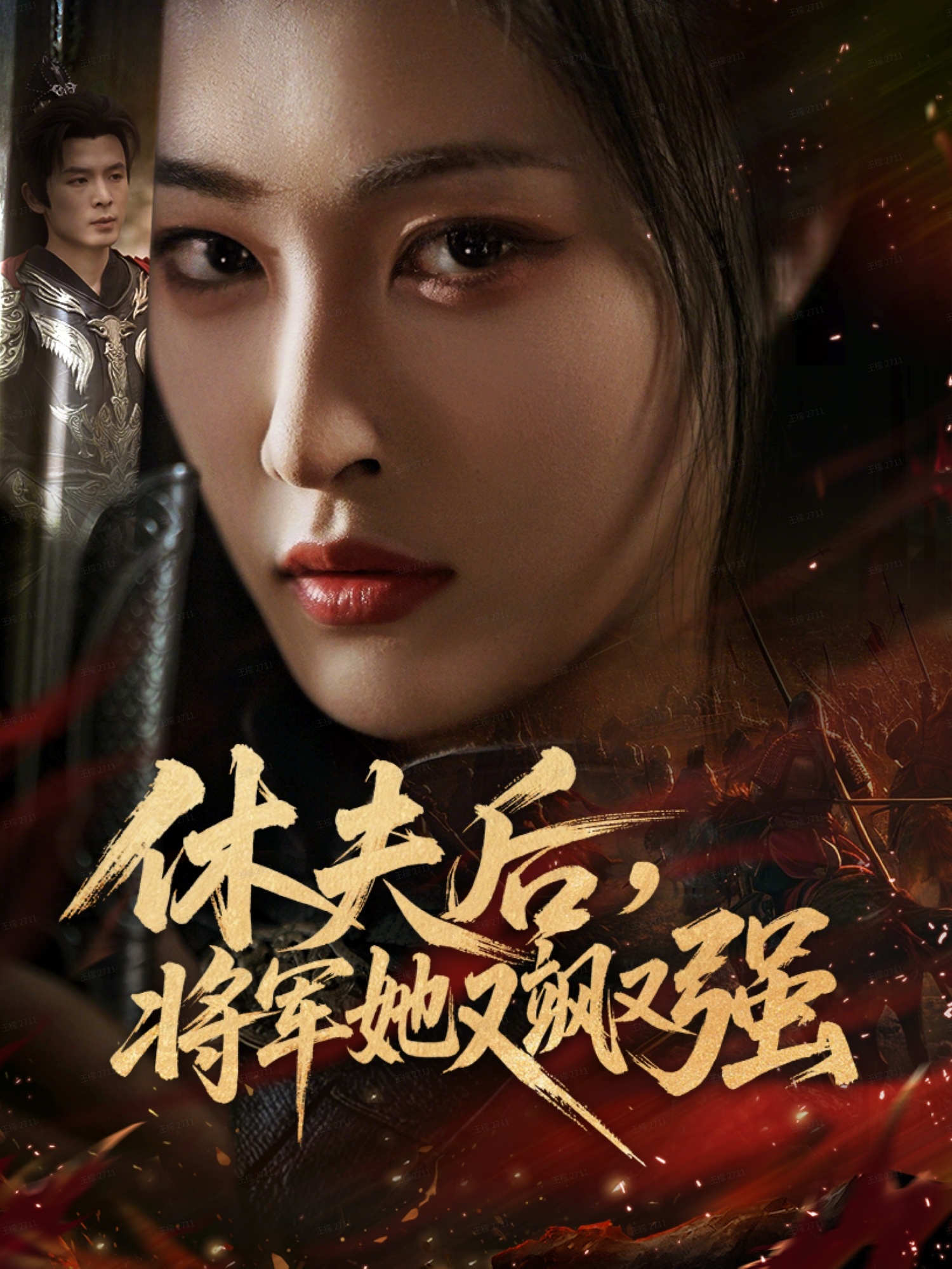 休夫后，將軍她又颯又強(全集)