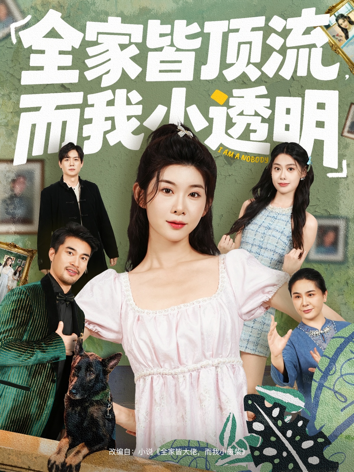 全家皆頂流，而我小透明(全集)