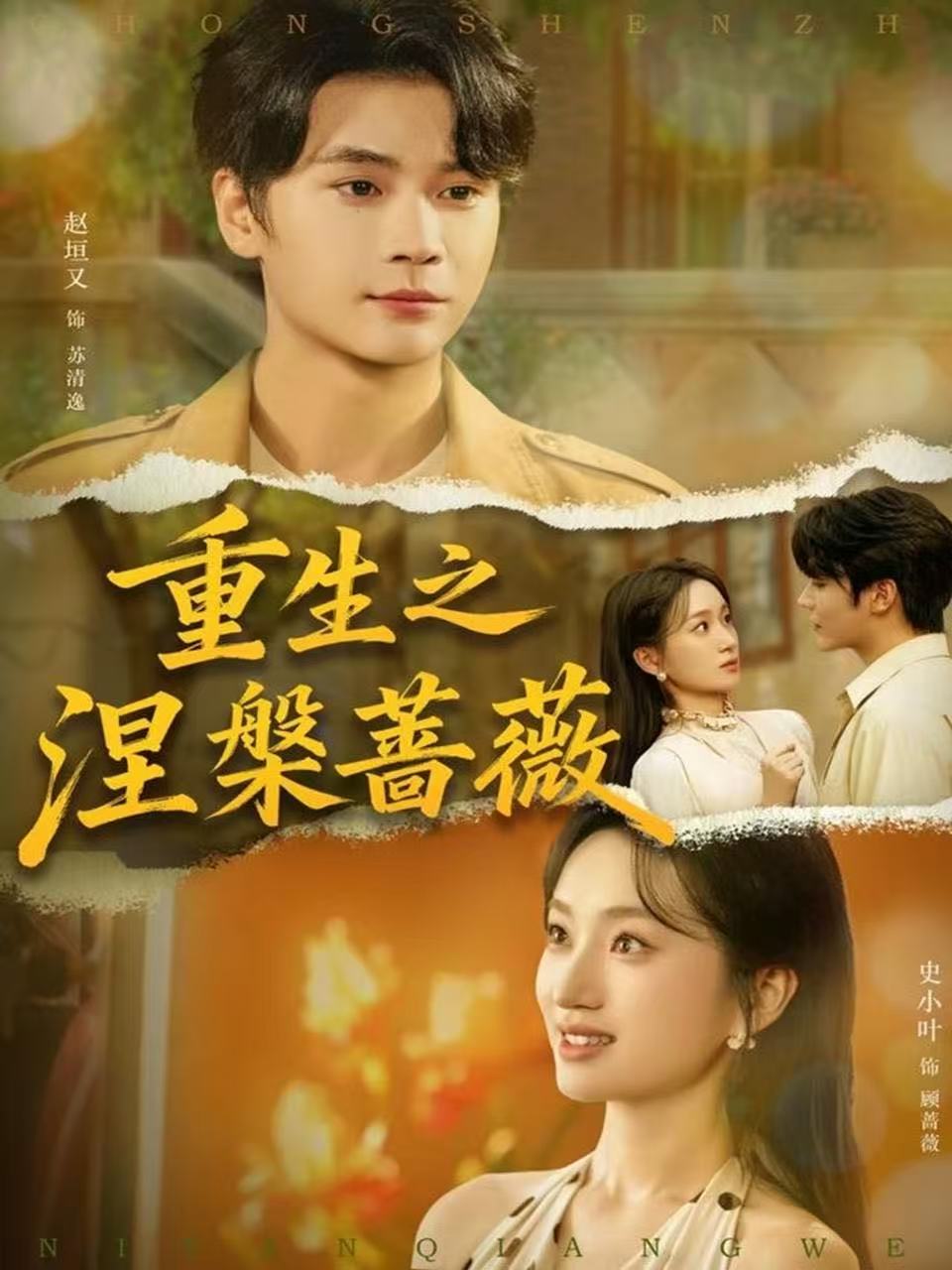 重生之涅槃薔薇(全集)