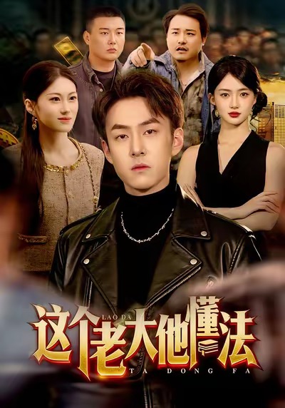這個老大他懂法(全集)