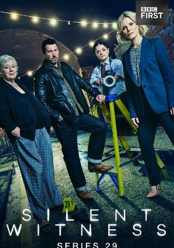 無聲的證言第二十九季(全集)