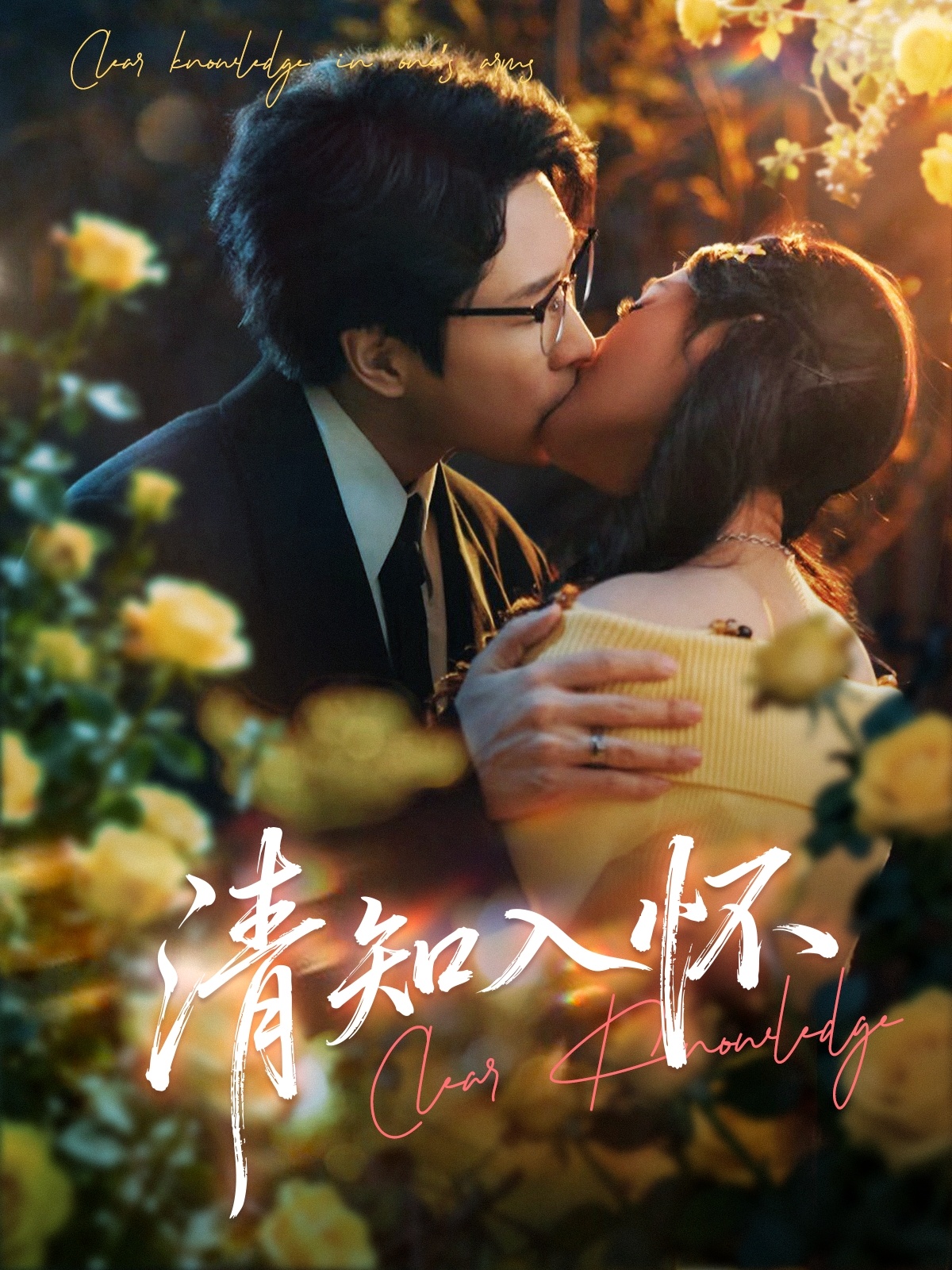 清知入懷(全集)