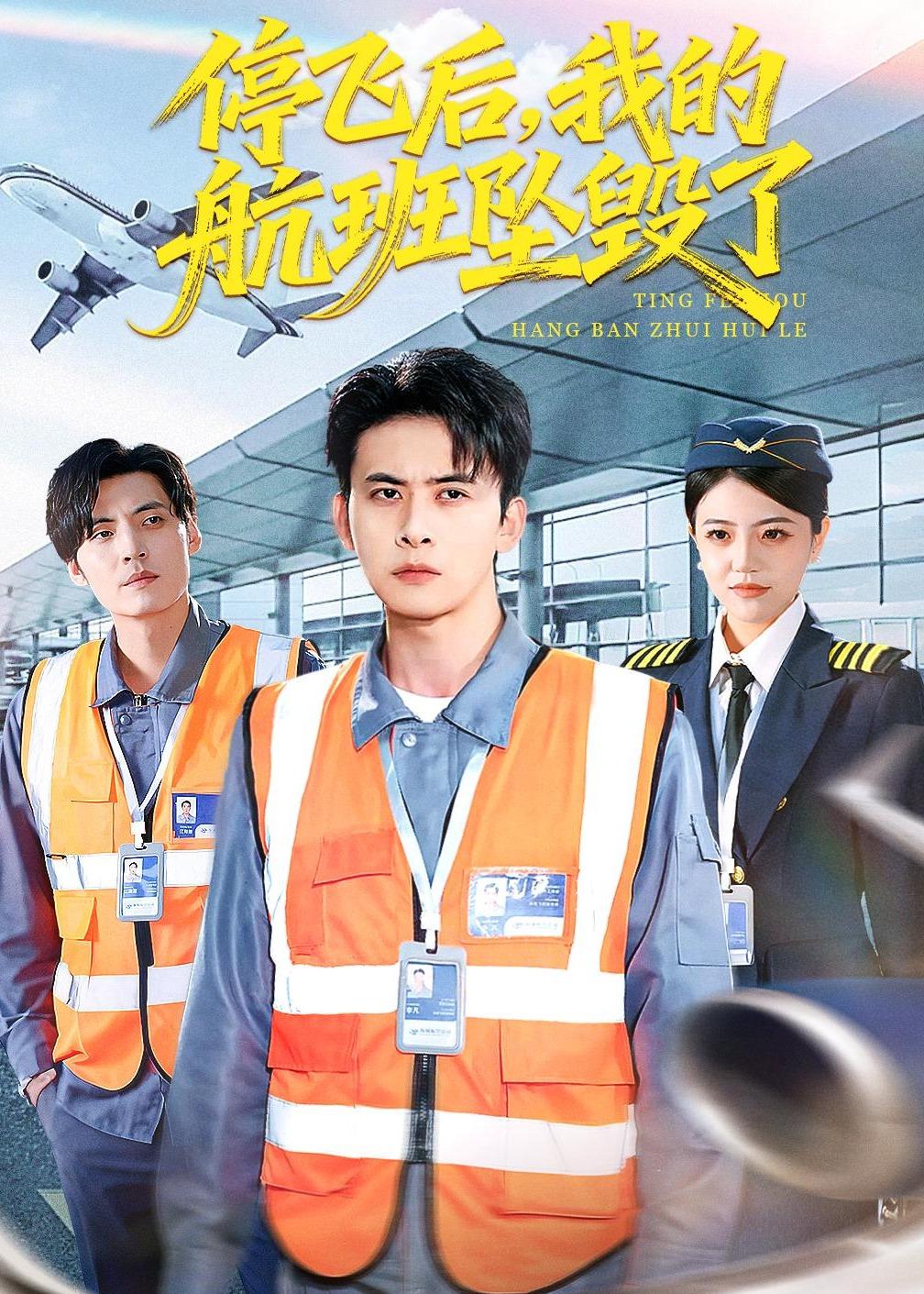 停飛后，我的航班墜毀了(全集)