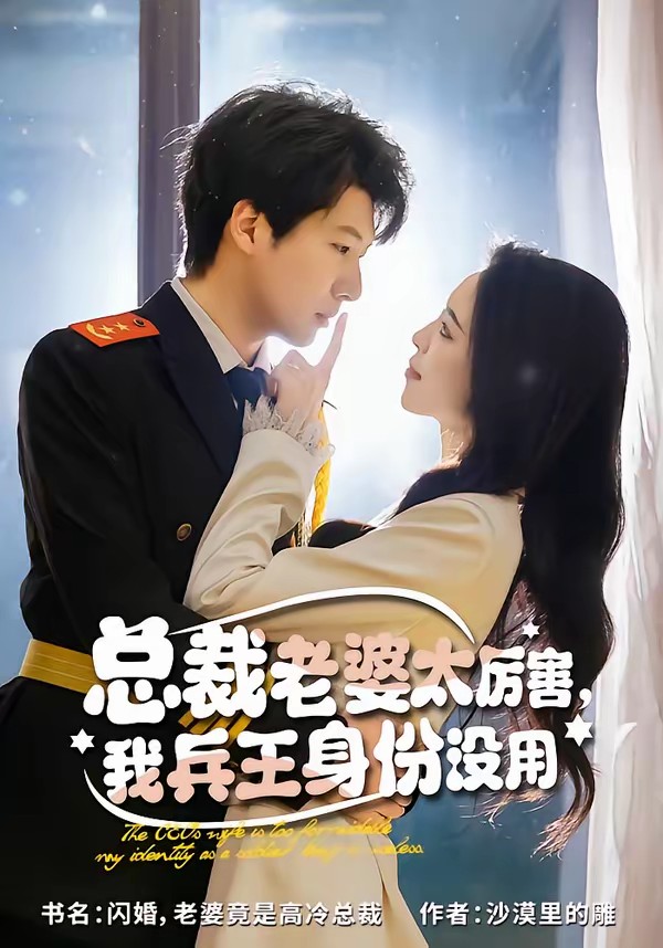 總裁老婆太厲害，我兵王身份沒用(全集)