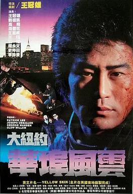 大紐約華埠風(fēng)云